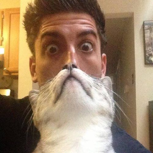 no barks about it cats